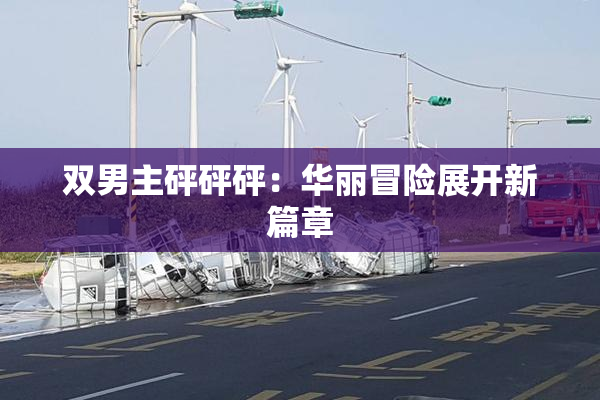 双男主砰砰砰：华丽冒险展开新篇章