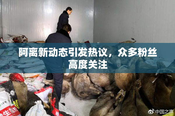 阿离新动态引发热议，众多粉丝高度关注