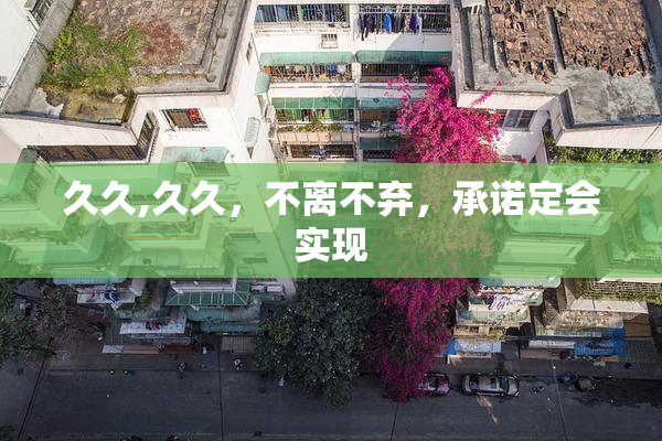 久久,久久，不离不弃，承诺定会实现