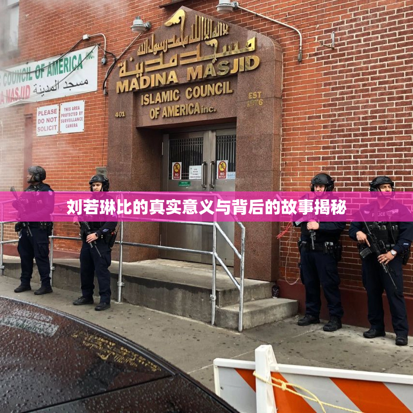刘若琳比的真实意义与背后的故事揭秘