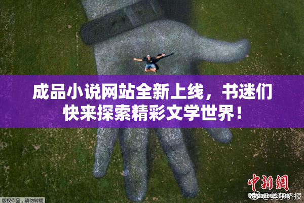 成品小说网站全新上线，书迷们快来探索精彩文学世界！