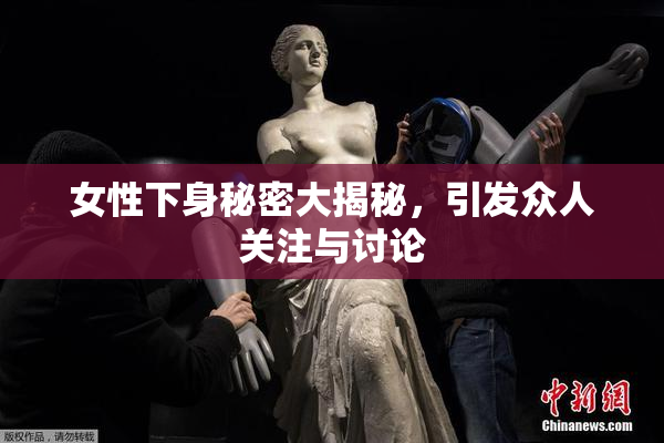 女性下身秘密大揭秘，引发众人关注与讨论