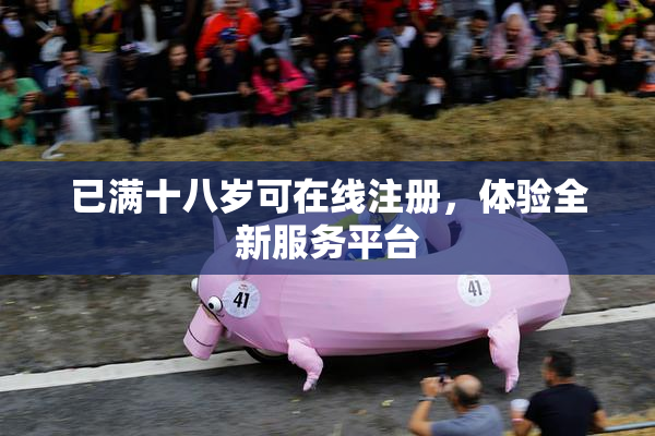 已满十八岁可在线注册，体验全新服务平台