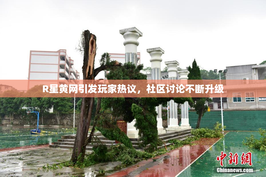 R星黄网引发玩家热议，社区讨论不断升级