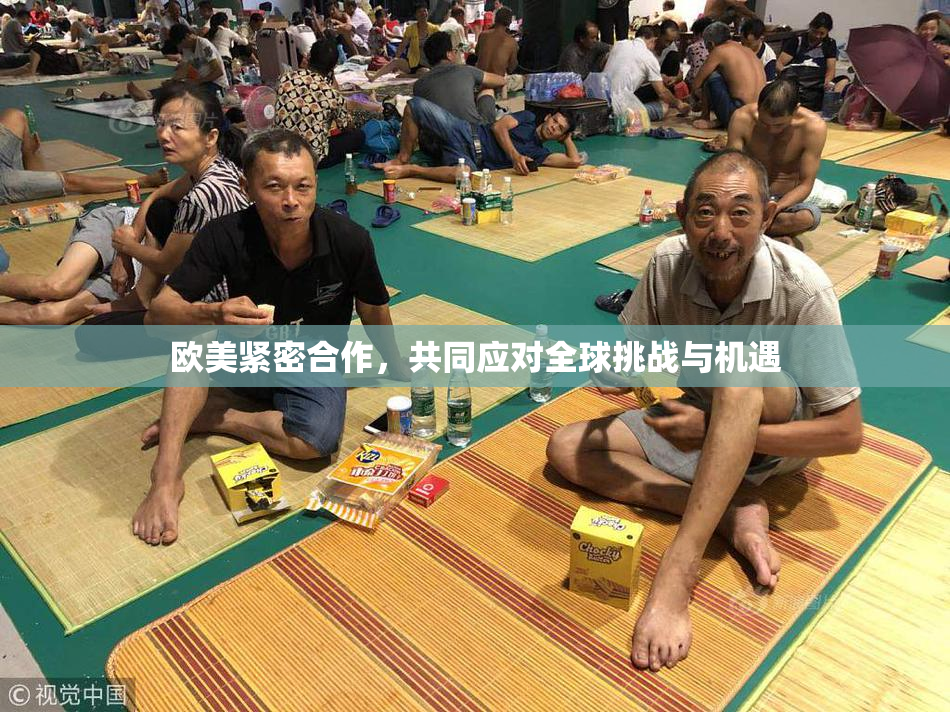 欧美紧密合作，共同应对全球挑战与机遇