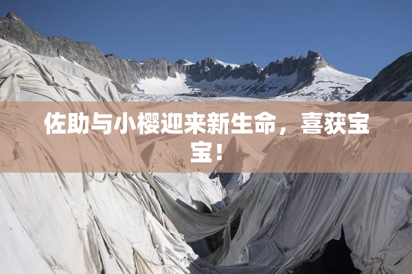 佐助与小樱迎来新生命，喜获宝宝！