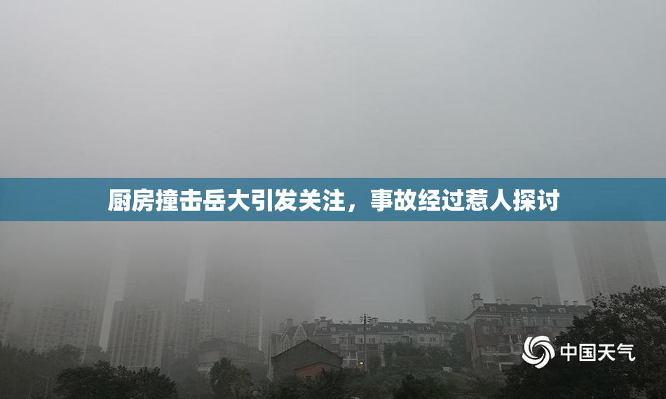 厨房撞击岳大引发关注，事故经过惹人探讨