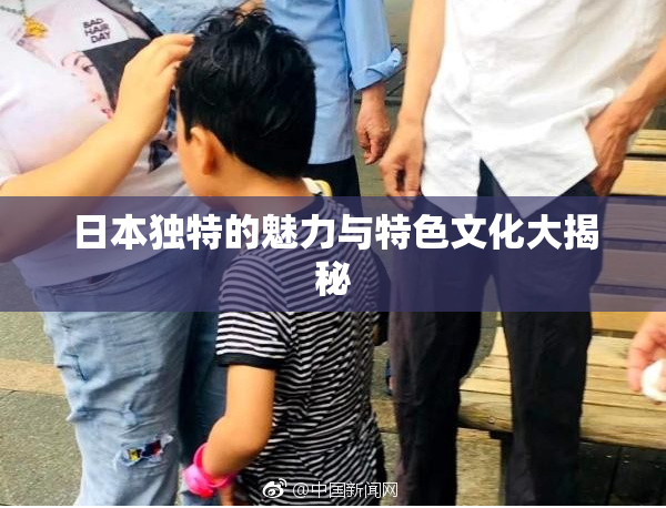 日本独特的魅力与特色文化大揭秘