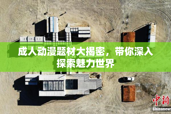 成人动漫题材大揭密，带你深入探索魅力世界