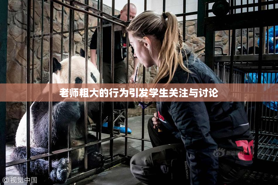 老师粗大的行为引发学生关注与讨论