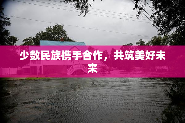 少数民族携手合作，共筑美好未来
