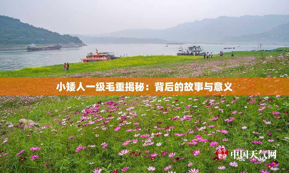 小矮人一级毛重揭秘：背后的故事与意义