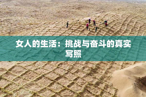 女人的生活：挑战与奋斗的真实写照