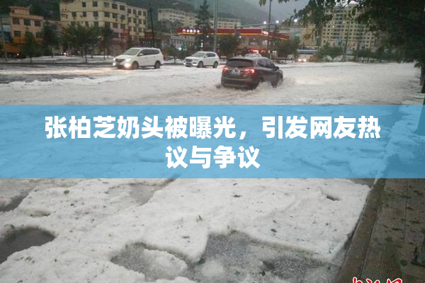 张柏芝奶头被曝光，引发网友热议与争议