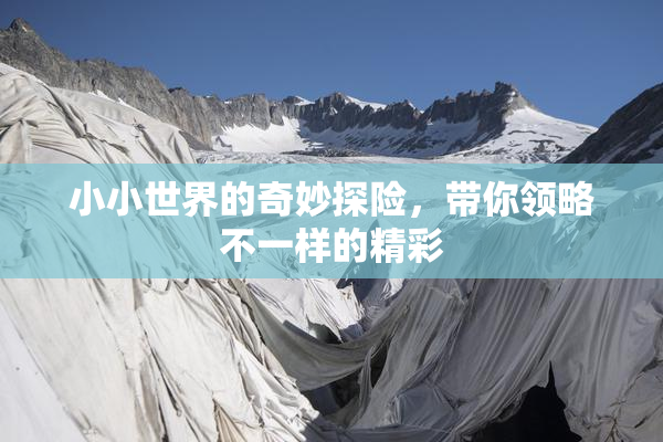 小小世界的奇妙探险，带你领略不一样的精彩