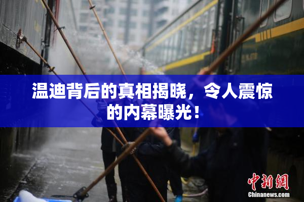 温迪背后的真相揭晓，令人震惊的内幕曝光！