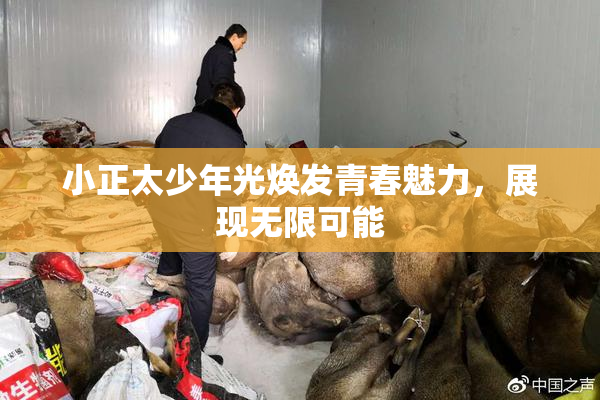 小正太少年光焕发青春魅力，展现无限可能