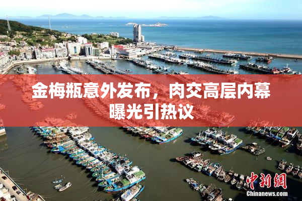 金梅瓶意外发布，肉交高层内幕曝光引热议