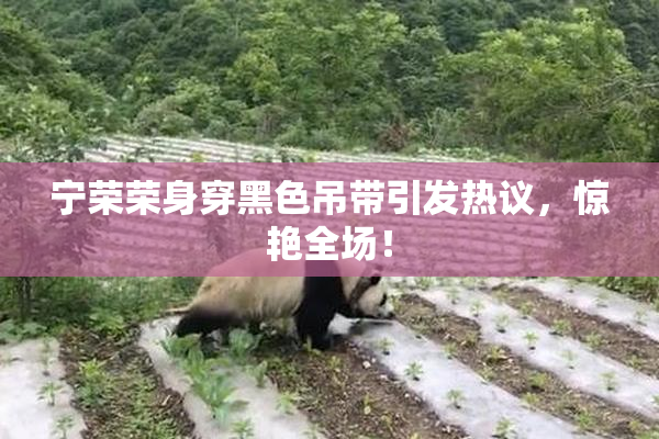 宁荣荣身穿黑色吊带引发热议，惊艳全场！