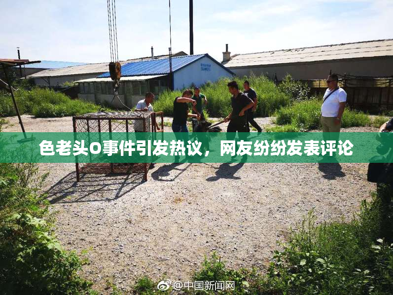 色老头O事件引发热议，网友纷纷发表评论