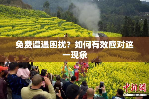 免费遭遇困扰？如何有效应对这一现象