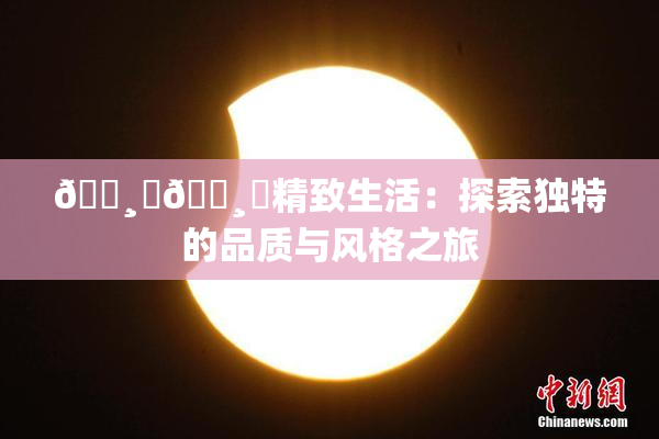 🌸‌🌸‌精致生活：探索独特的品质与风格之旅