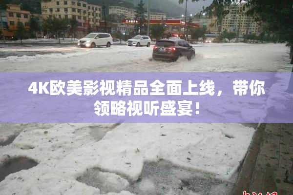 4K欧美影视精品全面上线，带你领略视听盛宴！