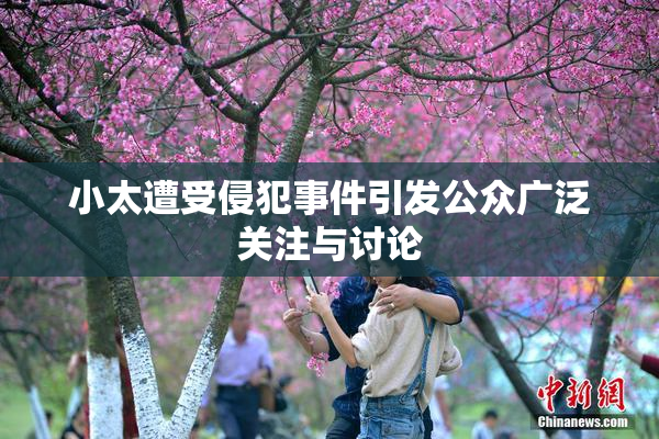 小太遭受侵犯事件引发公众广泛关注与讨论
