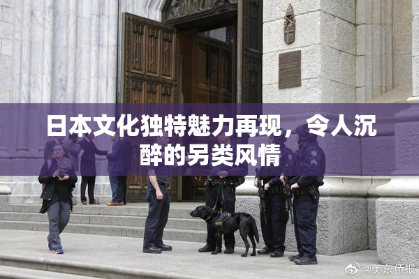 日本文化独特魅力再现，令人沉醉的另类风情