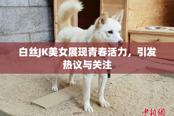 白丝JK美女展现青春活力，引发热议与关注