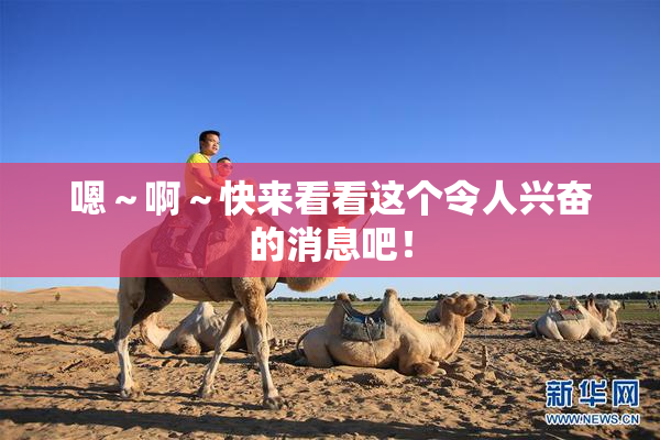 嗯～啊～快来看看这个令人兴奋的消息吧！