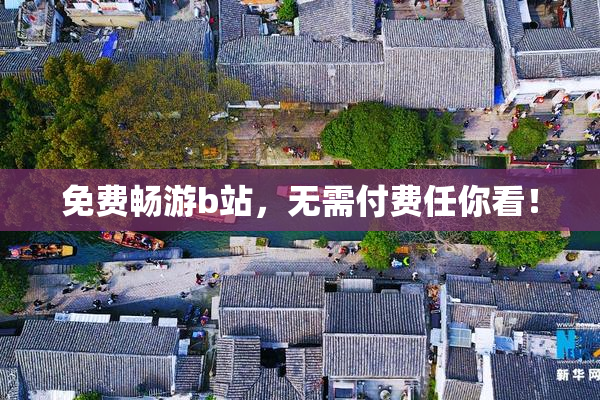 免费畅游b站，无需付费任你看！