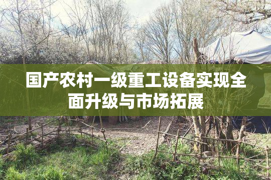 国产农村一级重工设备实现全面升级与市场拓展