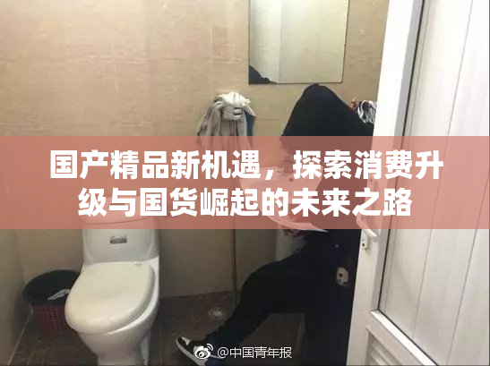 国产精品新机遇，探索消费升级与国货崛起的未来之路