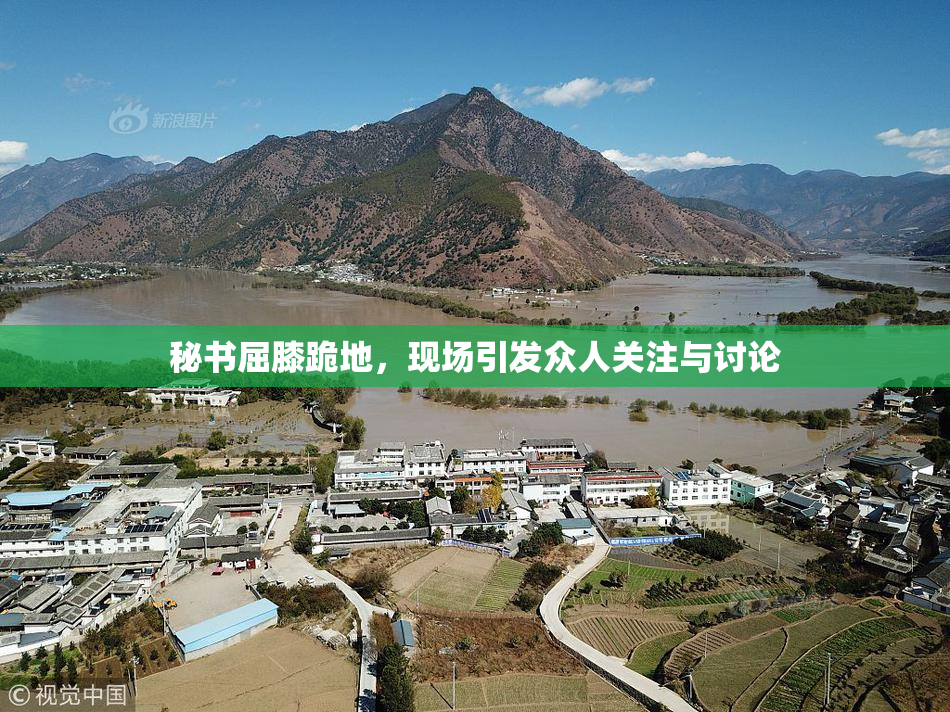 秘书屈膝跪地，现场引发众人关注与讨论