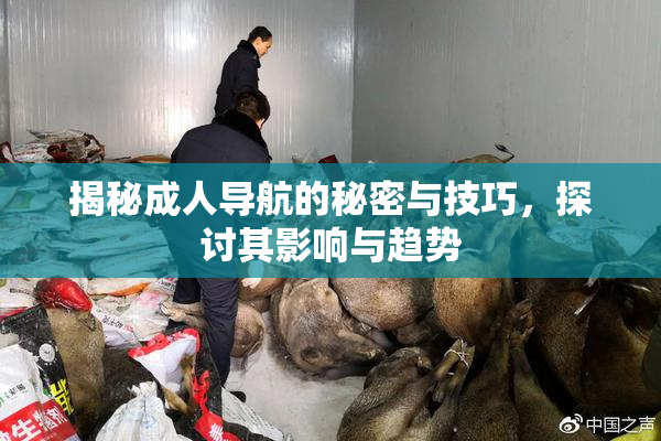 揭秘成人导航的秘密与技巧，探讨其影响与趋势