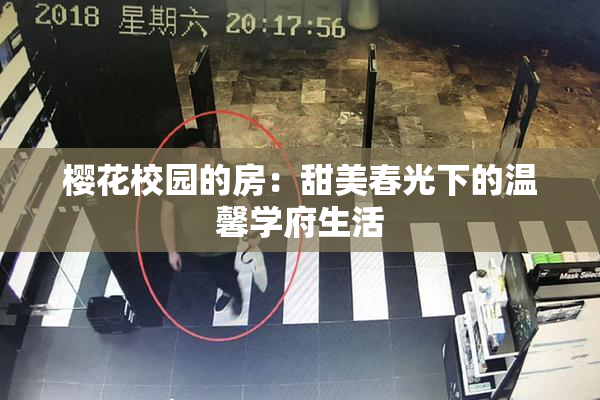 樱花校园的房：甜美春光下的温馨学府生活