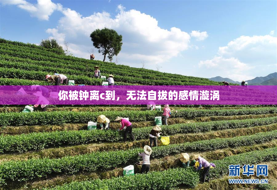 你被钟离c到，无法自拔的感情漩涡