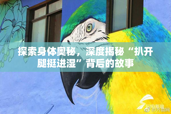 探索身体奥秘，深度揭秘“扒开腿挺进湿”背后的故事
