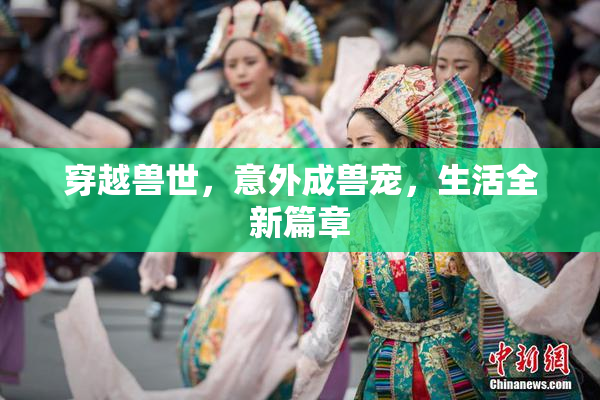 穿越兽世，意外成兽宠，生活全新篇章