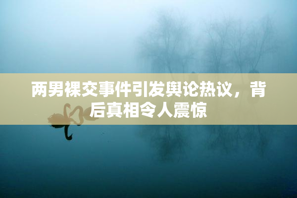 两男裸交事件引发舆论热议，背后真相令人震惊