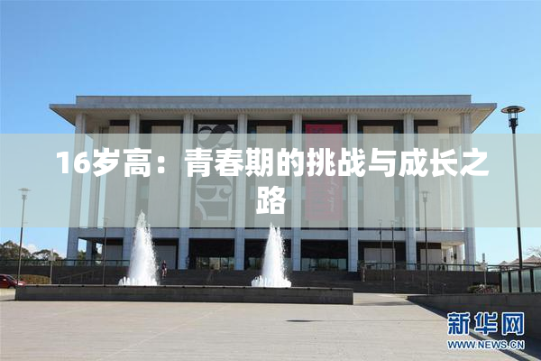 16岁高：青春期的挑战与成长之路