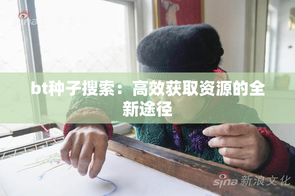 bt种子搜索：高效获取资源的全新途径