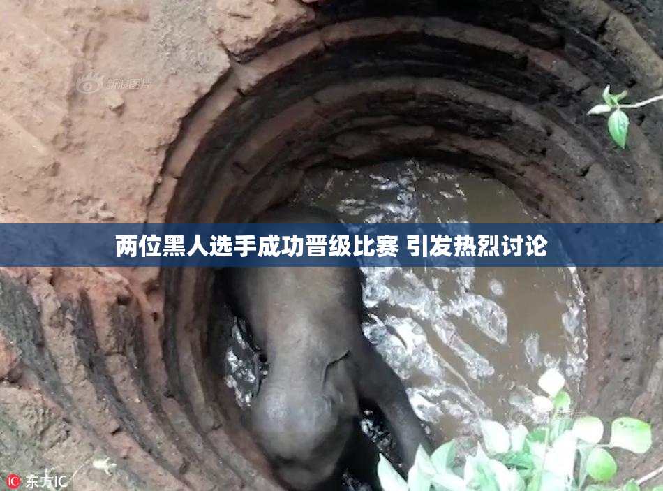 两位黑人选手成功晋级比赛 引发热烈讨论