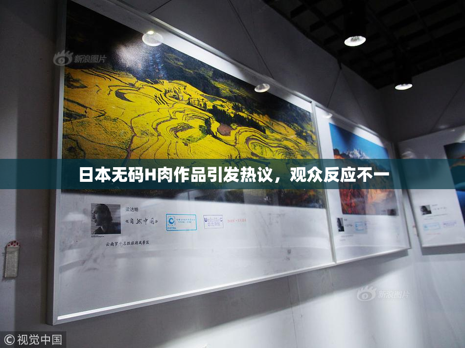 日本无码H肉作品引发热议，观众反应不一