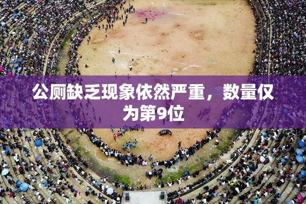 公厕缺乏现象依然严重，数量仅为第9位