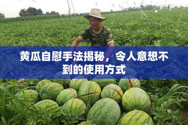 黄瓜自慰手法揭秘，令人意想不到的使用方式
