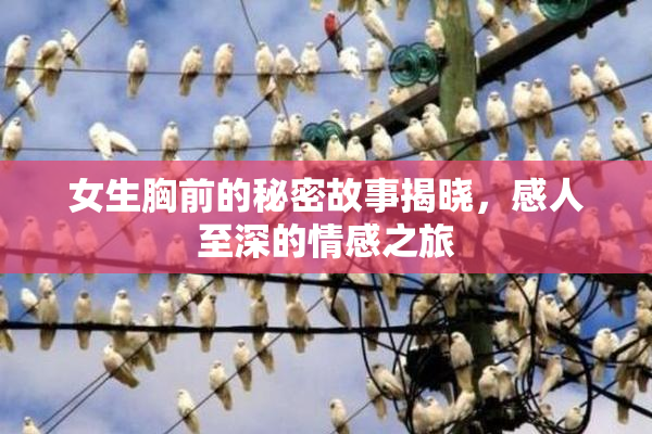 女生胸前的秘密故事揭晓，感人至深的情感之旅