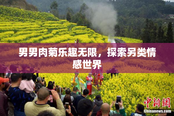男男肉菊乐趣无限，探索另类情感世界