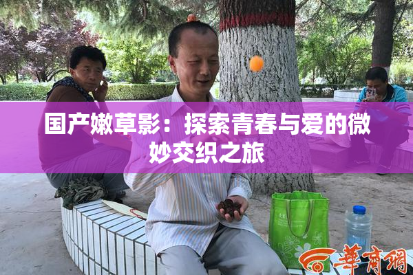 国产嫩草影：探索青春与爱的微妙交织之旅